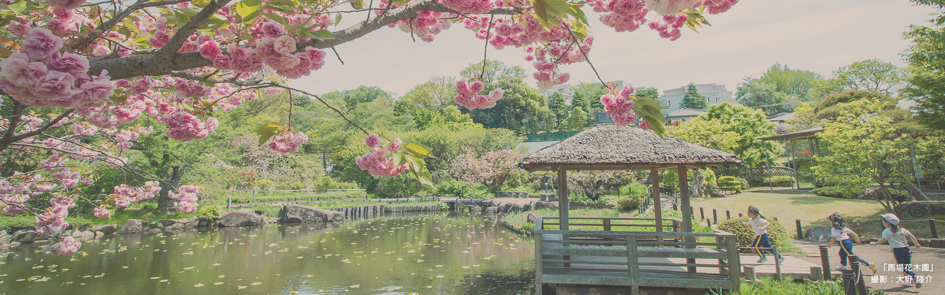 「馬場花木園」 撮影：大野 隆介