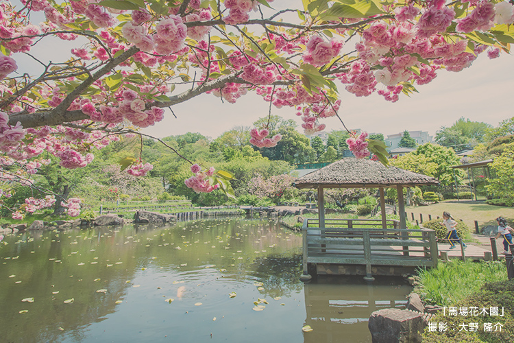 「馬場花木園」 撮影：大野 隆介